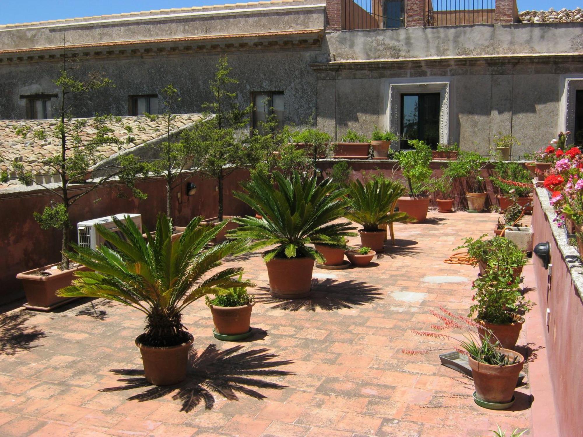 Hotel Elimo